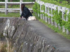 まるちゃんとまるこちゃん