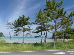 きれいかー