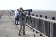 大砲見たい方は