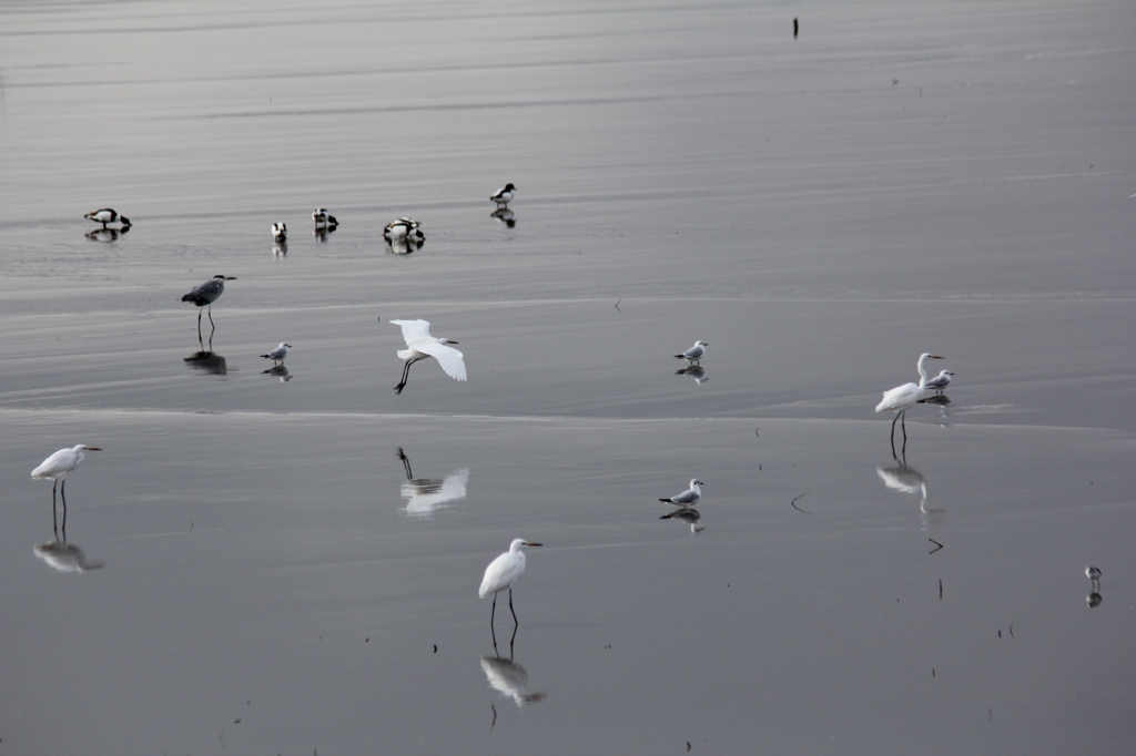 これがよさそう