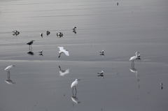 これがよさそう