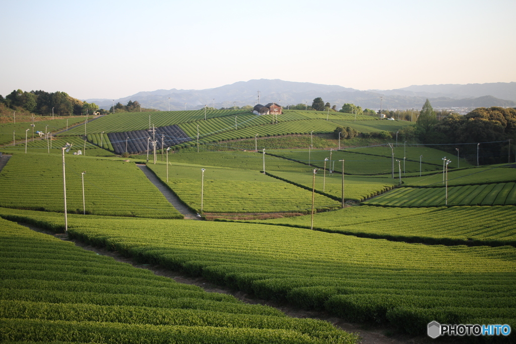 すごい規模です