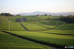 すごい規模です