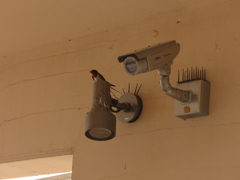 ちゃんと見てね