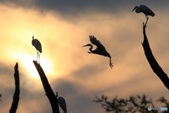 夕日はいいけど