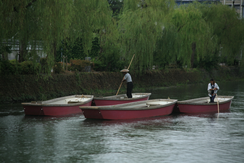 私はここで泳いでましたが