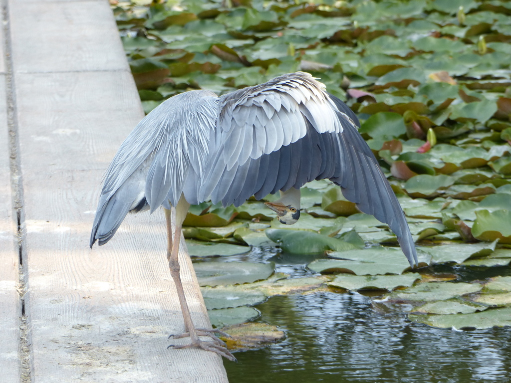 なにやってんの２