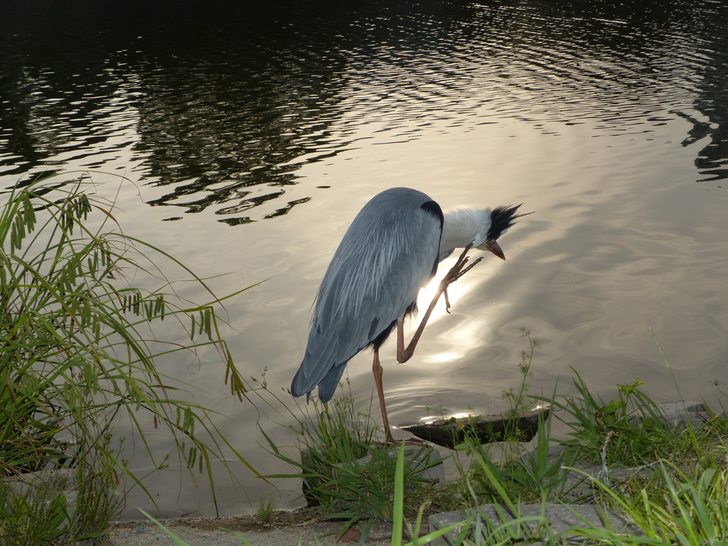 アーア、メール見るの忘れとった。