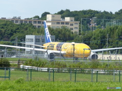 久しぶりの飛行機撮影