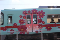 桜じゃないけど