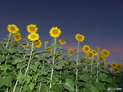 大きくなってね