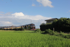 青空でよかったね