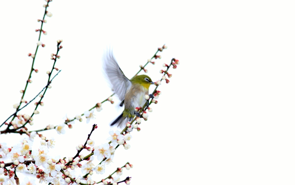 アートに