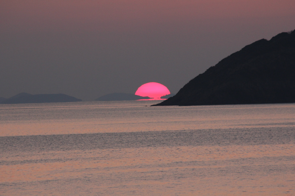 つぶれたみたい