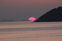 つぶれたみたい