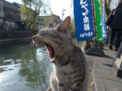 お客さんいないなー