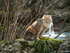 こっち向いてください