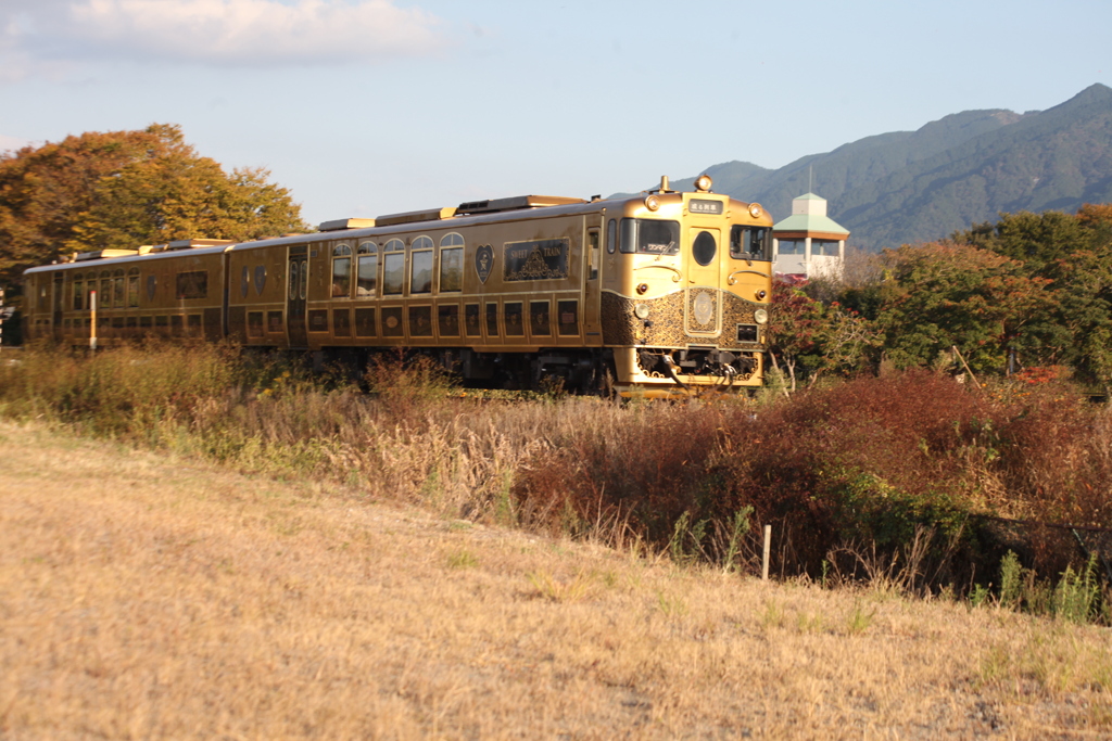 レストラン列車