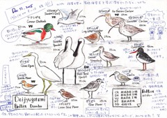 中村さんが見ると