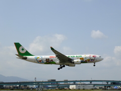 キティ