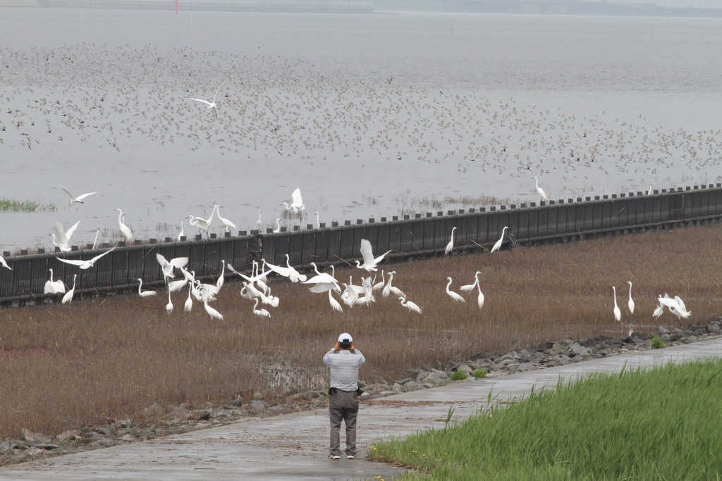 そんなにちかずくと