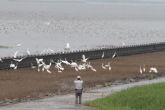 そんなにちかずくと