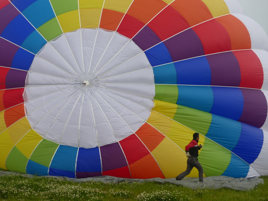 今年は世界選手権あります
