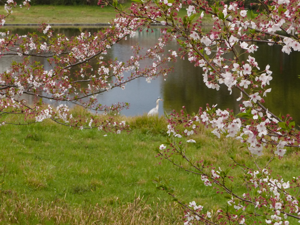 これも慣れてます