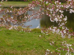 これも慣れてます