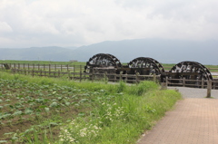 こんなとこです