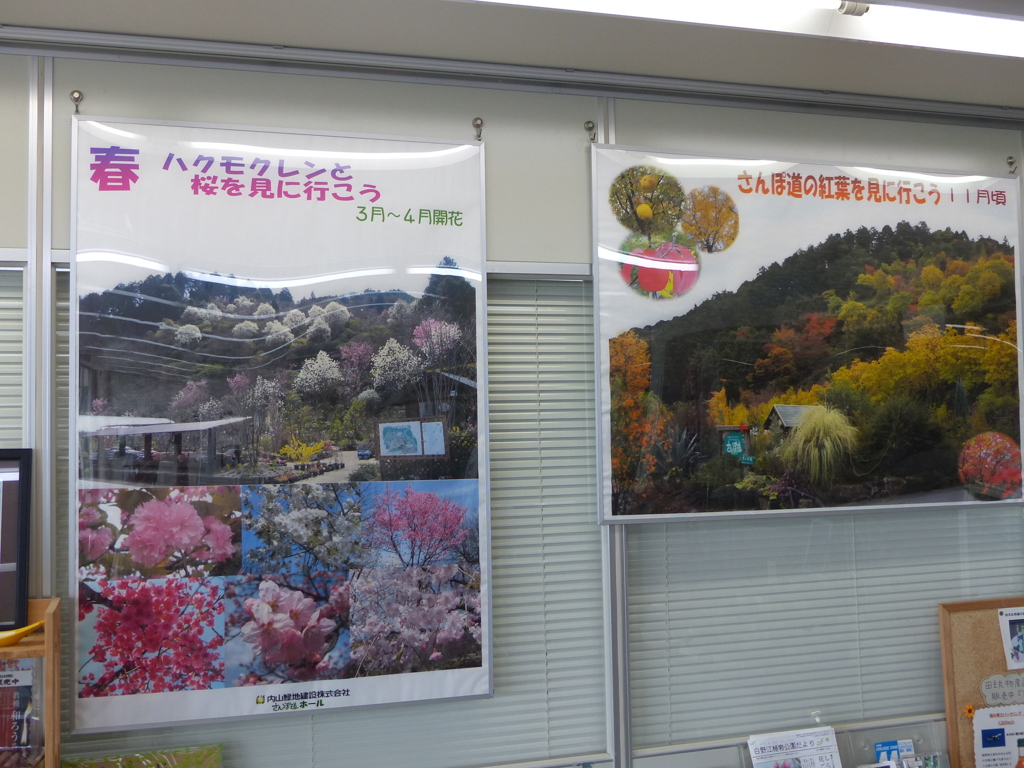 四季花だらけですよ