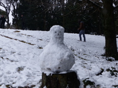 アジア系雪だるま