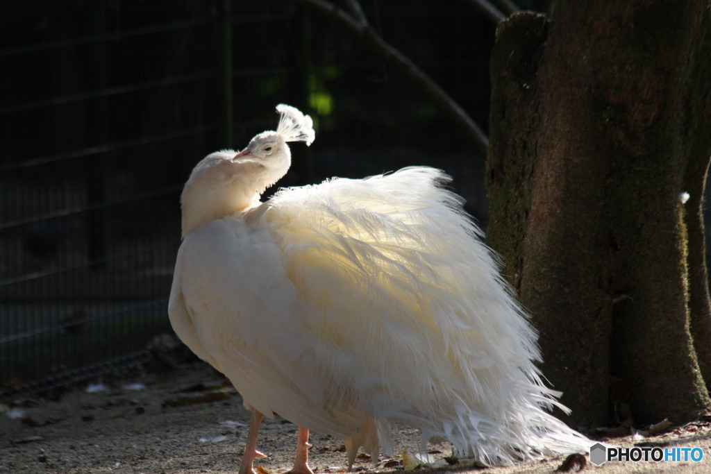きれいに撮ってね