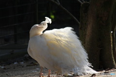 きれいに撮ってね