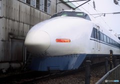 早そう