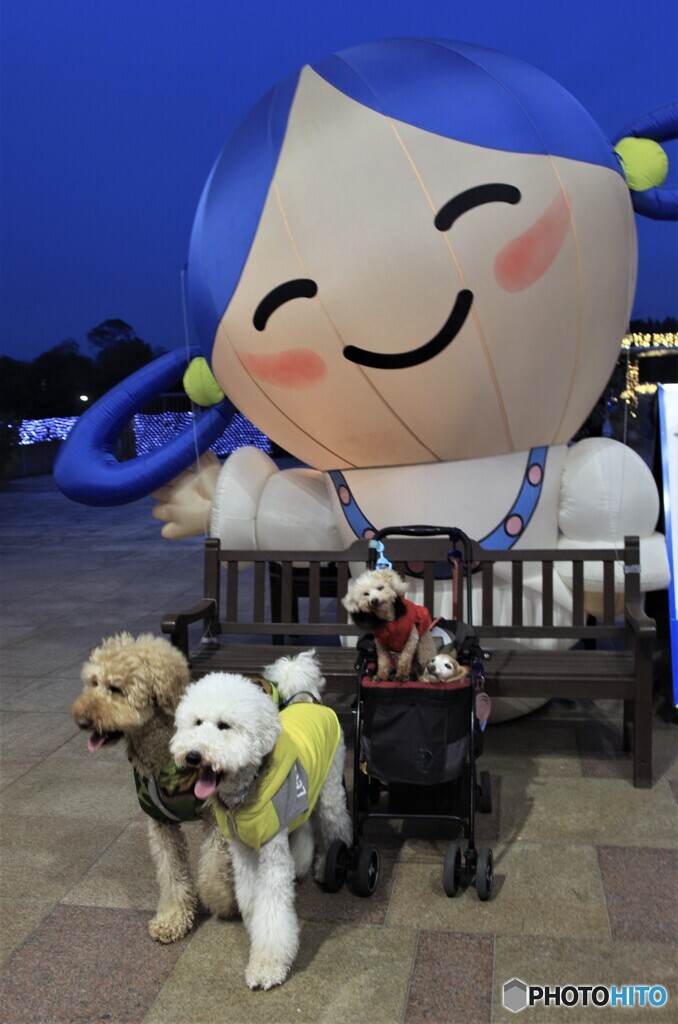 2頭と２匹