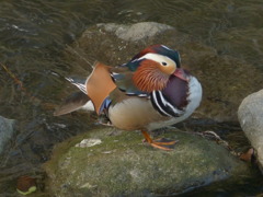 首がずれてますね