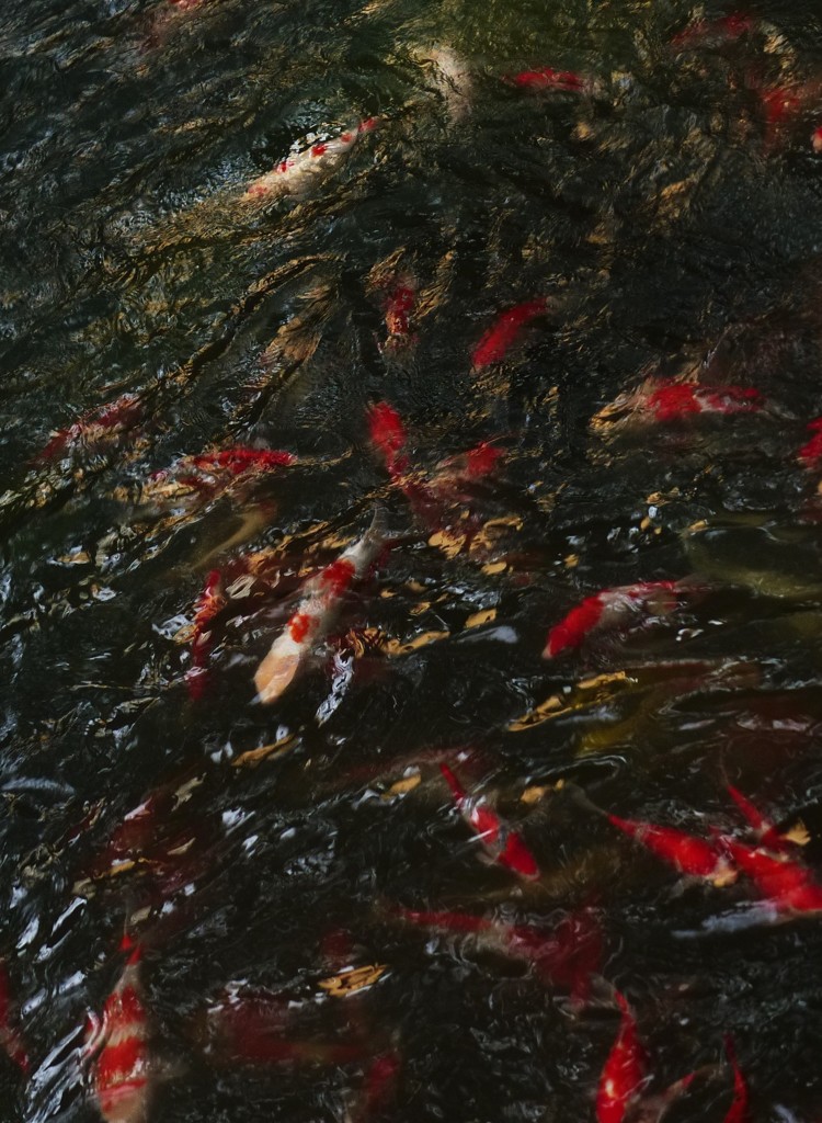 ゴールドですね