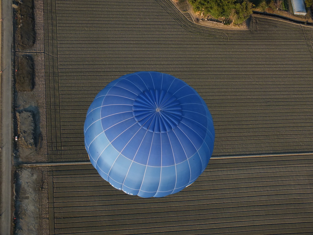 これが一番人気