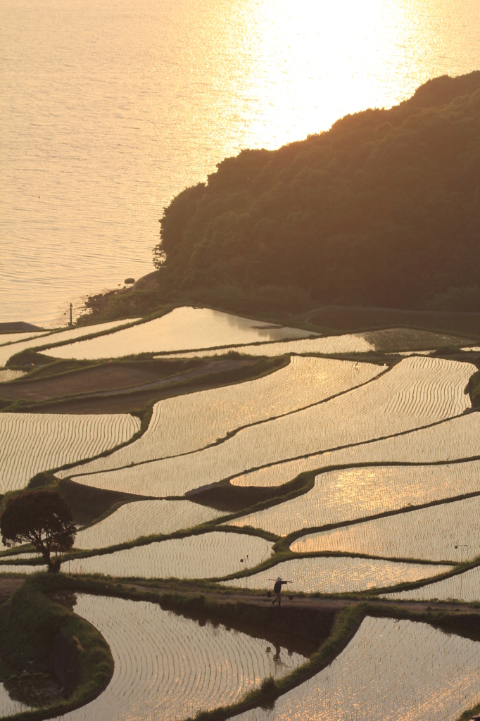 手前を歩いて？