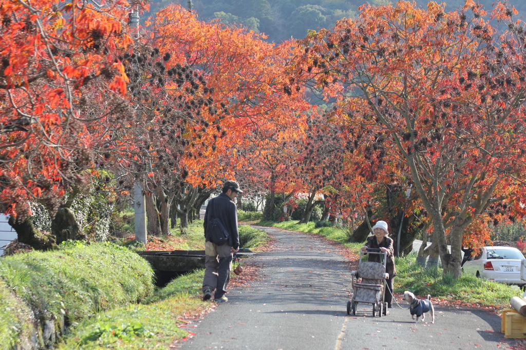 いい天気ですね