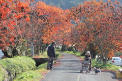 いい天気ですね
