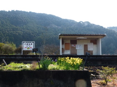 ここも有名ですね