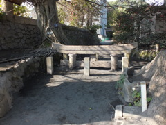 埋もれた鳥居