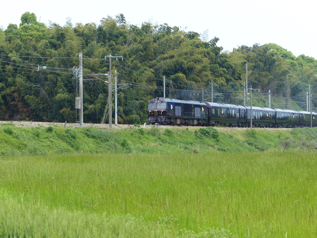 今日のななつぼし