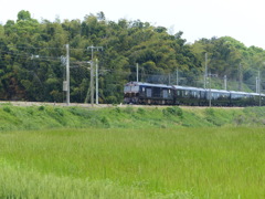 今日のななつぼし