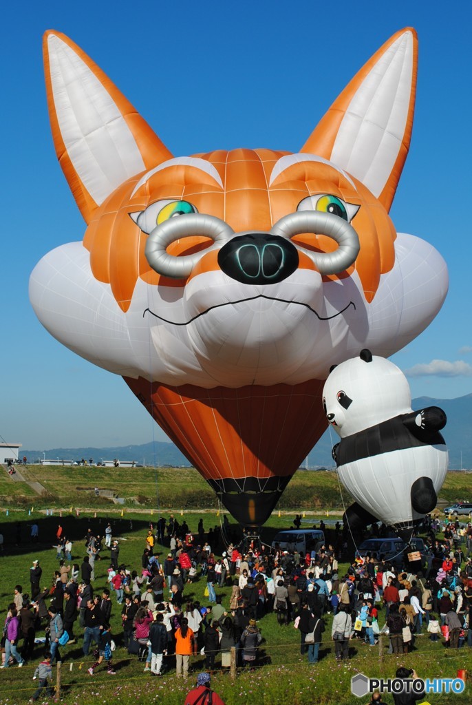 ドイツのパンダですが