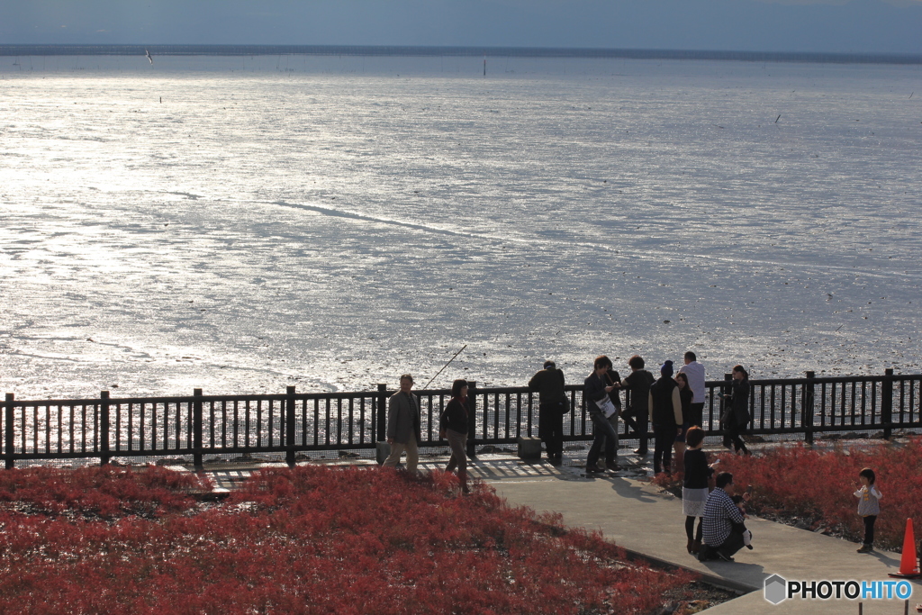 鳥もいっぱいになりますよ