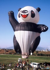 これはお父さん