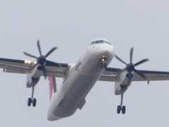 足が長いですね